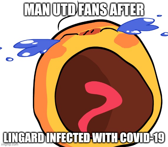 Cursed Crying Emoji | MAN UTD FANS AFTER; LINGARD INFECTED WITH COVID-19 | image tagged in cursed crying emoji,manchester united,lingard,coronavirus,covid-19,memes | made w/ Imgflip meme maker