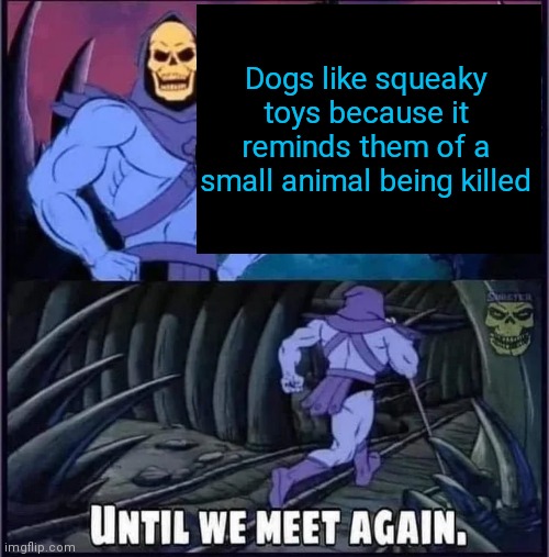 Until we meet again | Dogs like squeaky toys because it reminds them of a small animal being killed | image tagged in until we meet again | made w/ Imgflip meme maker