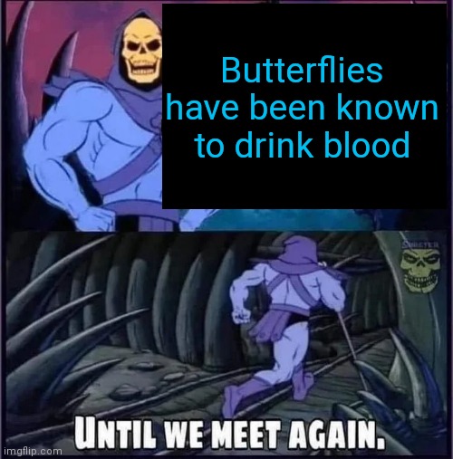 Until we meet again | Butterflies have been known to drink blood | image tagged in until we meet again | made w/ Imgflip meme maker