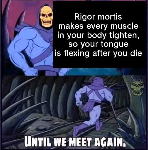 Until we meet again. | Rigor mortis makes every muscle in your body tighten, so your tongue is flexing after you die | image tagged in until we meet again | made w/ Imgflip meme maker
