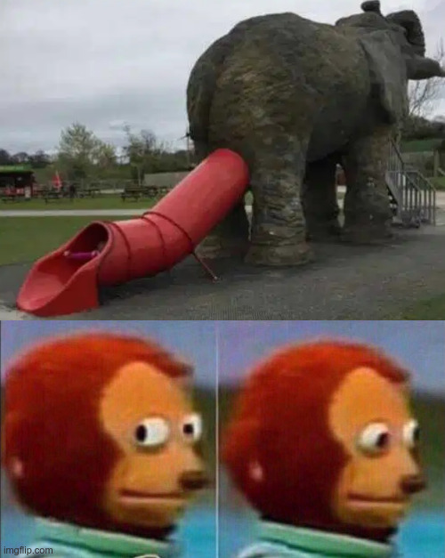 What the Heck? | image tagged in monkey looking away,elephant slide,elephant,wtf,slide | made w/ Imgflip meme maker