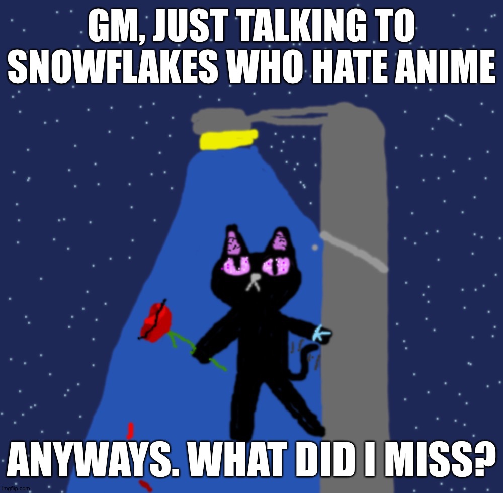 Night Flake (Blaziken's OC) | GM, JUST TALKING TO SNOWFLAKES WHO HATE ANIME; ANYWAYS. WHAT DID I MISS? | image tagged in night flake blaziken's oc | made w/ Imgflip meme maker
