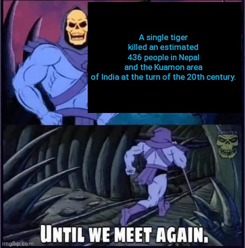 Until we meet again | A single tiger killed an estimated 436 people in Nepal and the Kuamon area of India at the turn of the 20th century. | image tagged in until we meet again | made w/ Imgflip meme maker