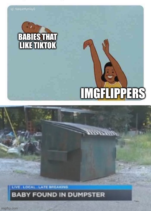 this is true lol | BABIES THAT LIKE TIKTOK; IMGFLIPPERS | image tagged in mom throwing baby,first words,tiktok,funny,imgflip users | made w/ Imgflip meme maker