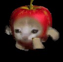 High Quality Apple Kitty Blank Meme Template