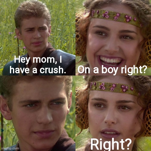 Certified non-biney lesbean | Hey mom, I have a crush. On a boy right? Right? | image tagged in anakin padme 4 panel | made w/ Imgflip meme maker