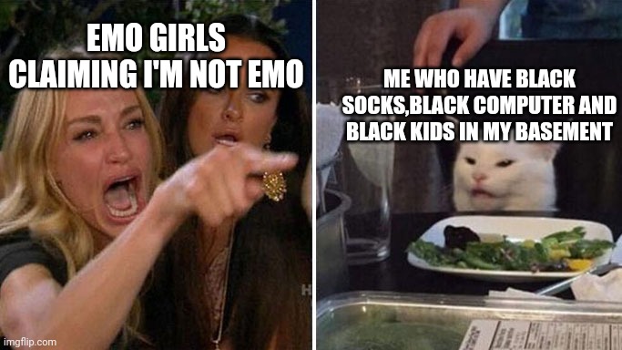 just kidding lol | EMO GIRLS CLAIMING I'M NOT EMO; ME WHO HAVE BLACK SOCKS,BLACK COMPUTER AND BLACK KIDS IN MY BASEMENT | image tagged in angry lady cat,black kid,black | made w/ Imgflip meme maker