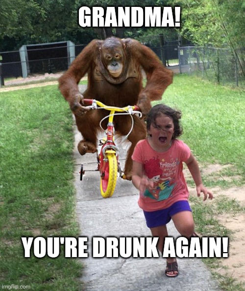 Orangutan chasing girl on a tricycle | GRANDMA! YOU'RE DRUNK AGAIN! | image tagged in orangutan chasing girl on a tricycle | made w/ Imgflip meme maker