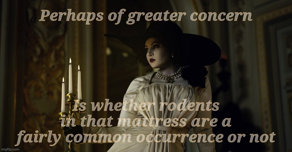 Lady Dimitrescu | Perhaps of greater concern Is whether rodents  in that mattress are a fairly common occurrence or not | made w/ Imgflip meme maker