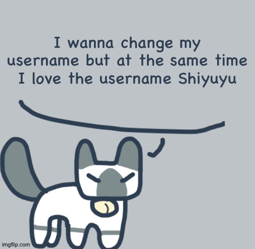 Cat | I wanna change my username but at the same time I love the username Shiyuyu | image tagged in cat | made w/ Imgflip meme maker