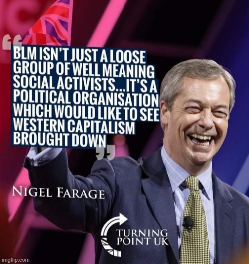 Nigel Farage | image tagged in blm | made w/ Imgflip meme maker