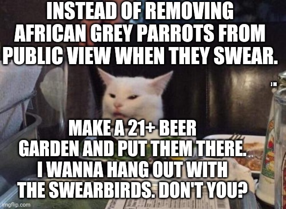 Salad cat | INSTEAD OF REMOVING AFRICAN GREY PARROTS FROM PUBLIC VIEW WHEN THEY SWEAR. J M; MAKE A 21+ BEER GARDEN AND PUT THEM THERE. I WANNA HANG OUT WITH THE SWEARBIRDS. DON'T YOU? | image tagged in salad cat | made w/ Imgflip meme maker