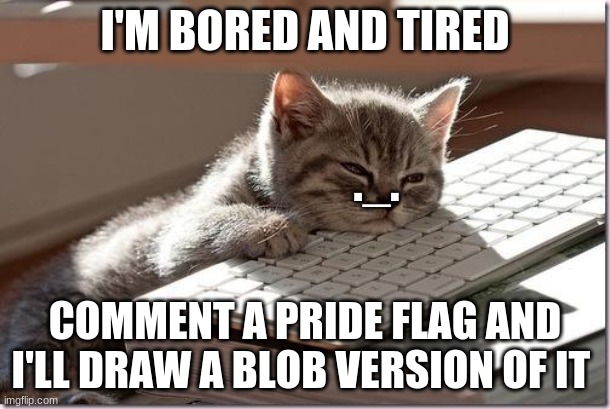 Bored Keyboard Cat | I'M BORED AND TIRED; ._. COMMENT A PRIDE FLAG AND I'LL DRAW A BLOB VERSION OF IT | image tagged in bored keyboard cat | made w/ Imgflip meme maker