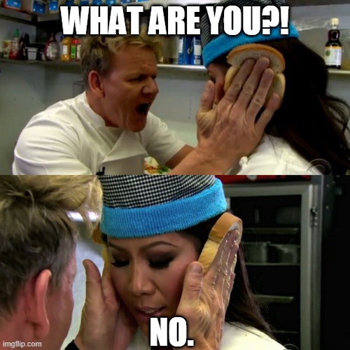 shitpost go brrr | WHAT ARE YOU?! NO. | image tagged in gordon ramsay idiot sandwich | made w/ Imgflip meme maker