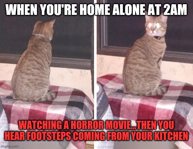 Scaredy cat | WHEN YOU'RE HOME ALONE AT 2AM; WATCHING A HORROR MOVIE...THEN YOU HEAR FOOTSTEPS COMING FROM YOUR KITCHEN | image tagged in cat,horror movie,that moment when,funny,relatable | made w/ Imgflip meme maker