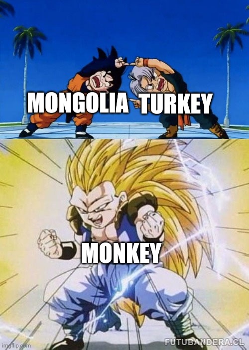 monke |  MONGOLIA; TURKEY; MONKEY | image tagged in dbz fusion,monkey,funny,memes,turkey,mongolia | made w/ Imgflip meme maker