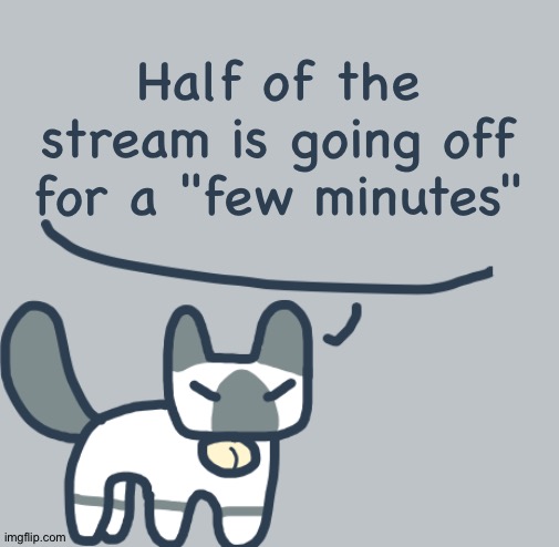 Going off for a few minutes | Half of the stream is going off for a "few minutes" | image tagged in cat | made w/ Imgflip meme maker