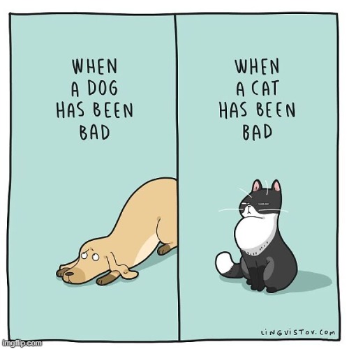 A Cat's Way Of Thinking | image tagged in memes,comics,cats,dogs,maybe i am a monster,looks | made w/ Imgflip meme maker