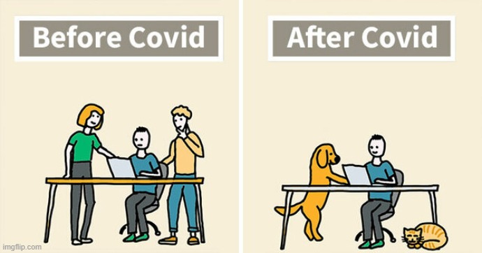 Pandemic Thinking | image tagged in memes,comics,pandemic,thinking,before and after,covid | made w/ Imgflip meme maker