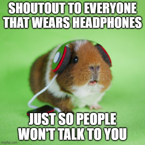 what's that? can't hear you | SHOUTOUT TO EVERYONE THAT WEARS HEADPHONES; JUST SO PEOPLE WON'T TALK TO YOU | image tagged in guinea pig headphones | made w/ Imgflip meme maker