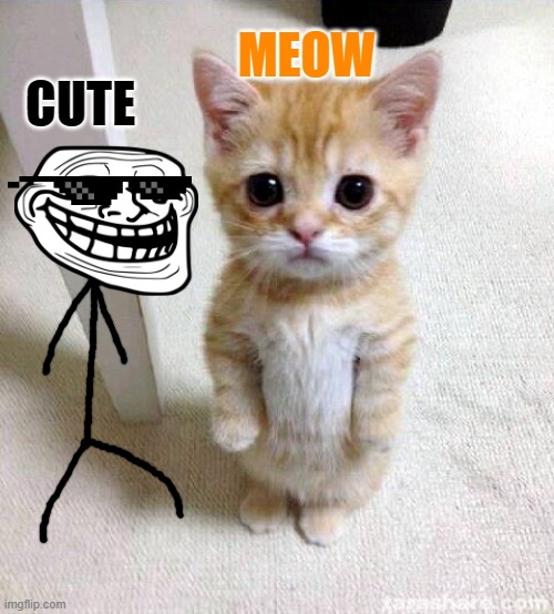 TROLLFACE LIFE EP 3 : CUTE CAT | MEOW; CUTE | image tagged in cute cat | made w/ Imgflip meme maker