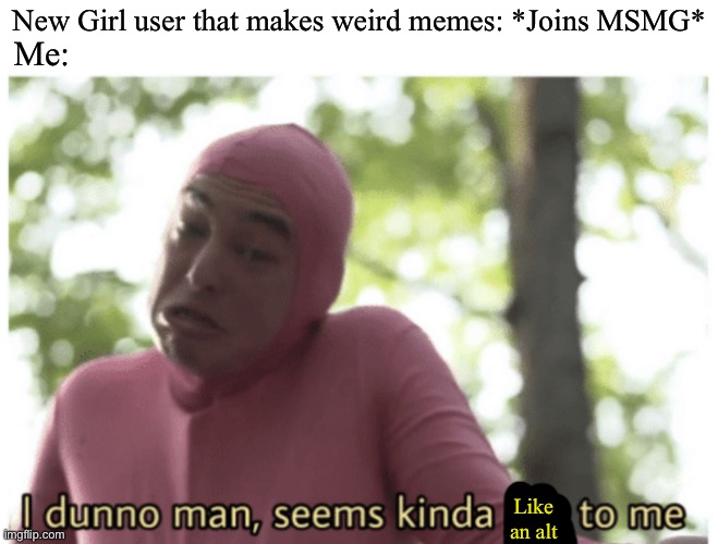 Matter of question is who | New Girl user that makes weird memes: *Joins MSMG*; Me:; Like an alt | image tagged in idk man seems kinda gay | made w/ Imgflip meme maker