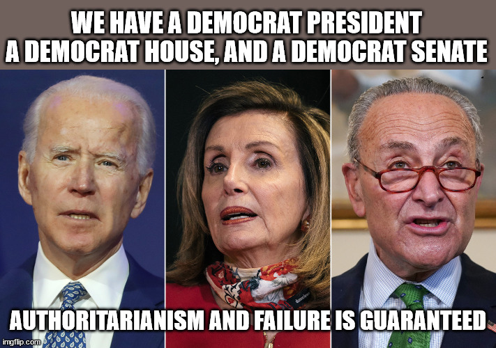 The Bungling Biden Bunch, with Noxious Nancy, and Chuckie, are a clear and present danger to our Republic. | WE HAVE A DEMOCRAT PRESIDENT  A DEMOCRAT HOUSE, AND A DEMOCRAT SENATE; AUTHORITARIANISM AND FAILURE IS GUARANTEED | image tagged in biden,pelosi,schumer,stupid liberals,cultural marxism | made w/ Imgflip meme maker