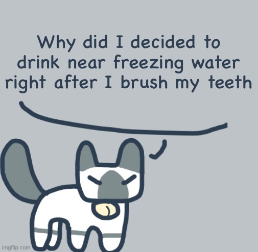 Cat | Why did I decided to drink near freezing water right after I brush my teeth | image tagged in cat | made w/ Imgflip meme maker