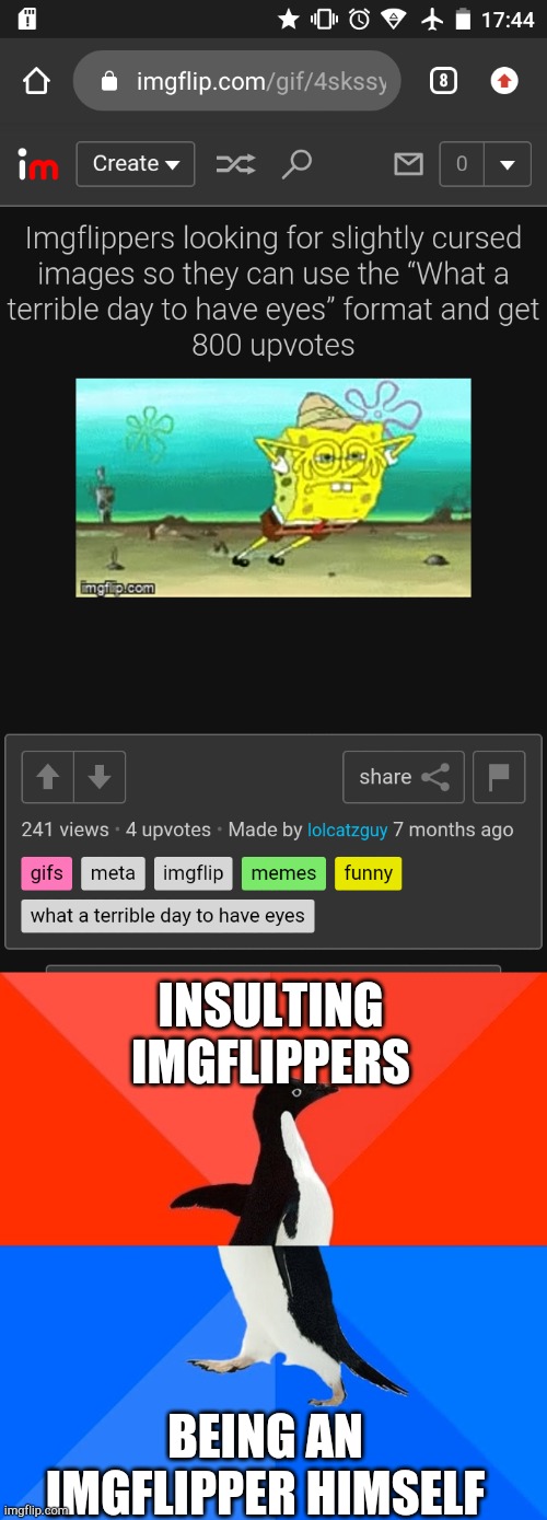 I hate this lolcatzguy and i feel like i should ban him (damn, why am i abusing my mod powers?) | INSULTING IMGFLIPPERS; BEING AN IMGFLIPPER HIMSELF | image tagged in memes,socially awesome awkward penguin | made w/ Imgflip meme maker