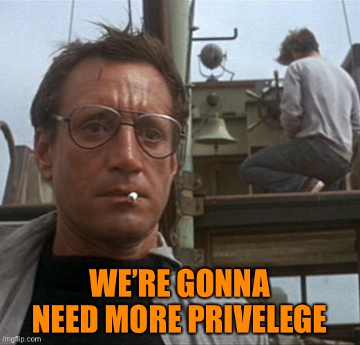 jaws | WE’RE GONNA NEED MORE PRIVILEGE | image tagged in jaws | made w/ Imgflip meme maker