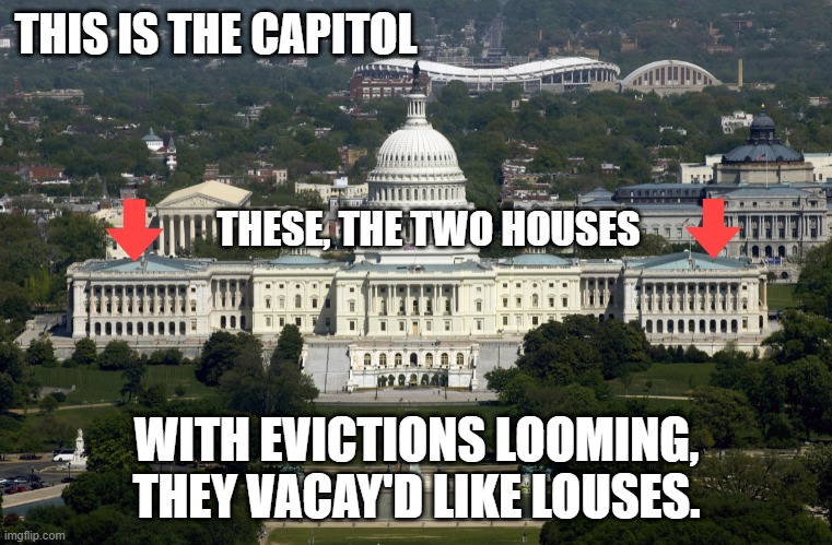 The Capitol | THIS IS THE CAPITOL; THESE, THE TWO HOUSES; WITH EVICTIONS LOOMING, THEY VACAY'D LIKE LOUSES. | image tagged in the capitol,irresponsible | made w/ Imgflip meme maker