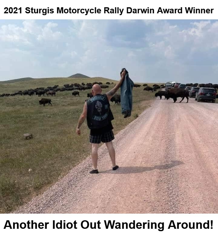 Another Idiot Out Wandering Around! | image tagged in sturgis motorcycle rally,south dakota,sturgis,idiots out wandering around,iowa,never go full retard | made w/ Imgflip meme maker