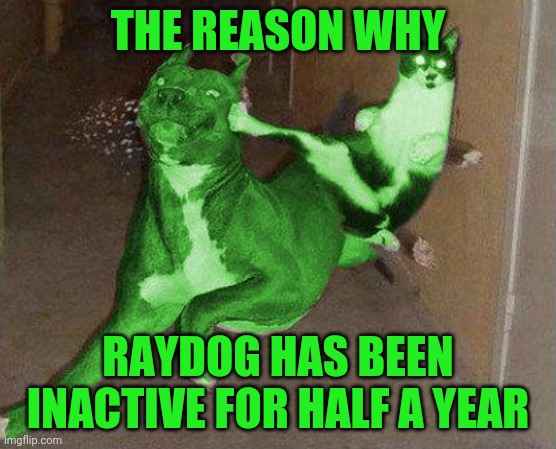 Where is raycat? | THE REASON WHY; RAYDOG HAS BEEN INACTIVE FOR HALF A YEAR | image tagged in raycat kicking raydog | made w/ Imgflip meme maker