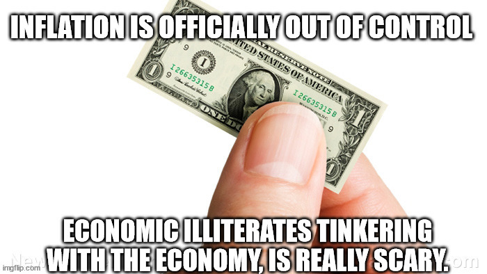 Democrats have never had a real job | image tagged in democratic socialism | made w/ Imgflip meme maker