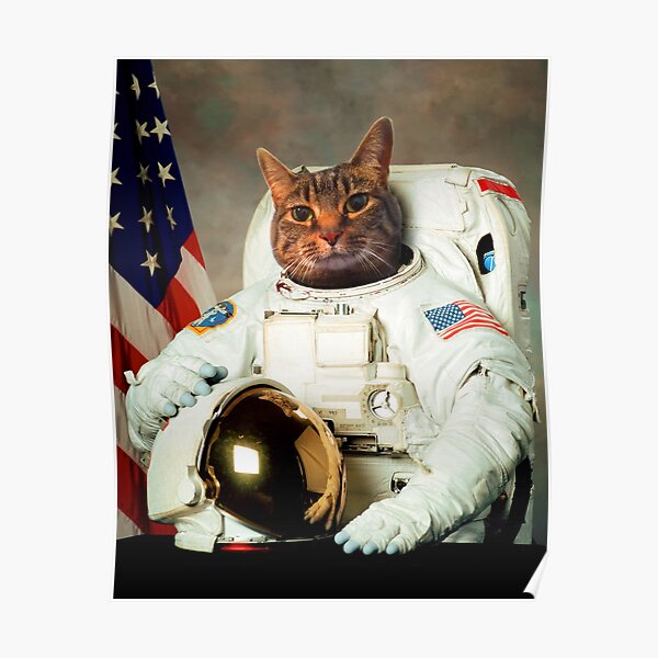 Cat astronaut Blank Meme Template