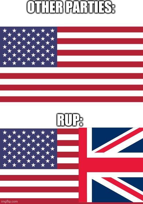Vote for RUP: The mixed nationality party. | OTHER PARTIES:; RUP: | image tagged in flag of usa | made w/ Imgflip meme maker