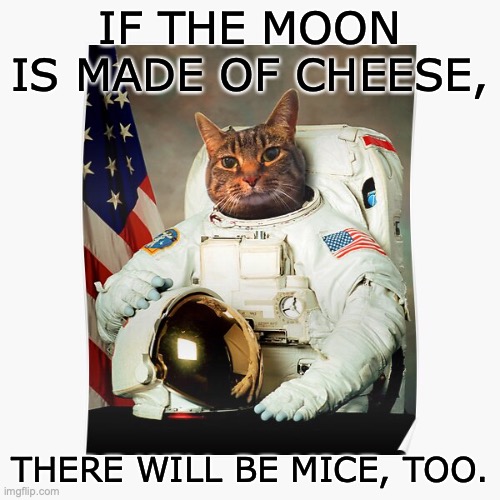 Moon made of cheese | IF THE MOON IS MADE OF CHEESE, THERE WILL BE MICE, TOO. | image tagged in cat astronaut,mice,joke | made w/ Imgflip meme maker