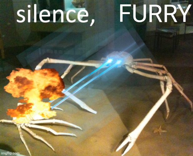 Silence Crab | FURRY | image tagged in silence crab | made w/ Imgflip meme maker