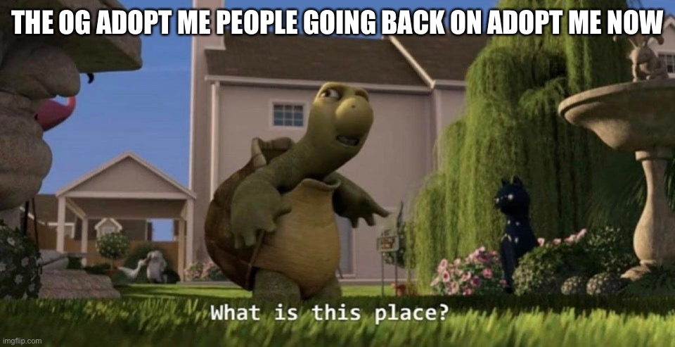 Yes | THE OG ADOPT ME PEOPLE GOING BACK ON ADOPT ME NOW | image tagged in what is this place,roblox,adopt me | made w/ Imgflip meme maker