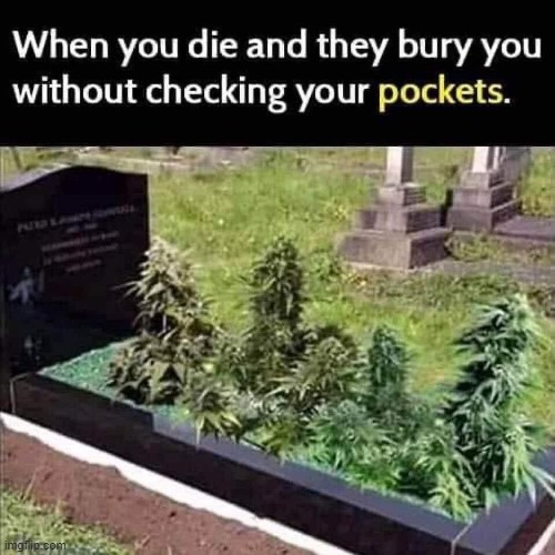Weed that plot ! | image tagged in smokey and the bandit 1 | made w/ Imgflip meme maker