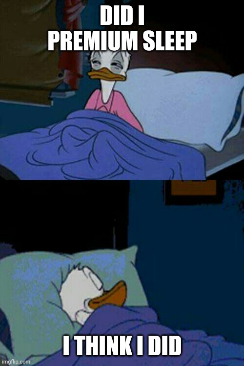 sleepy donald duck in bed | DID I PREMIUM SLEEP I THINK I DID | image tagged in sleepy donald duck in bed | made w/ Imgflip meme maker