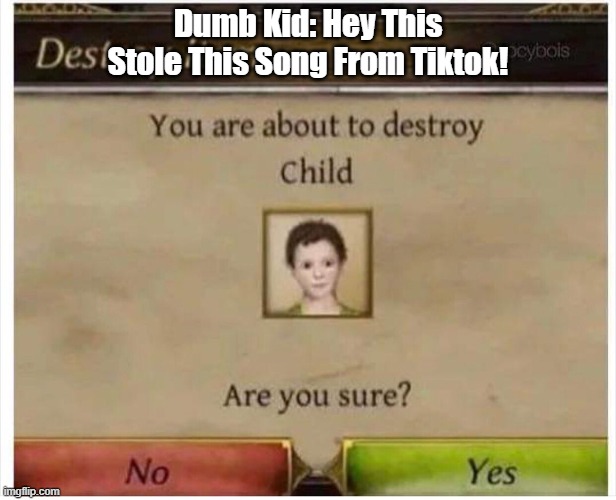 You are about to destroy Child | Dumb Kid: Hey This Stole This Song From Tiktok! | image tagged in you are about to destroy child | made w/ Imgflip meme maker