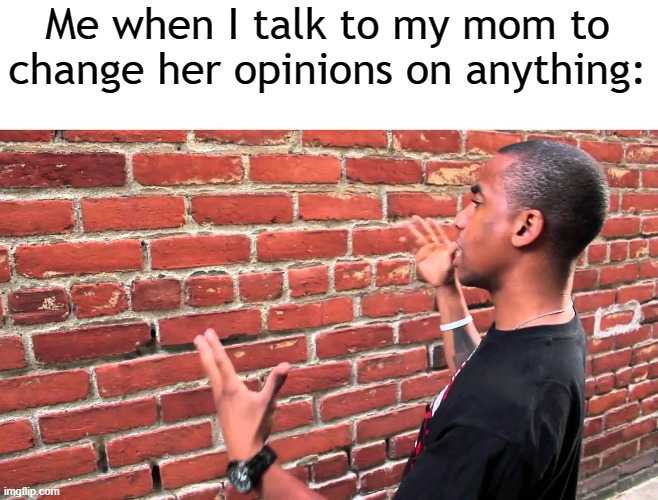 ._. |  Me when I talk to my mom to change her opinions on anything: | image tagged in talking to wall,memes,relatable | made w/ Imgflip meme maker