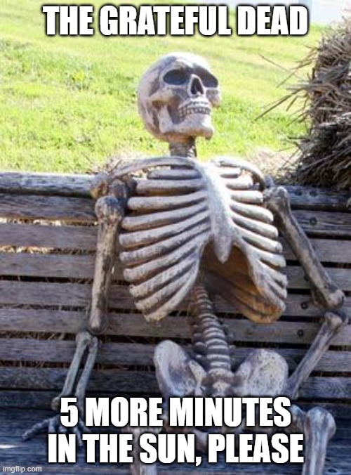 Gratitude | THE GRATEFUL DEAD; 5 MORE MINUTES IN THE SUN, PLEASE | image tagged in memes,waiting skeleton | made w/ Imgflip meme maker