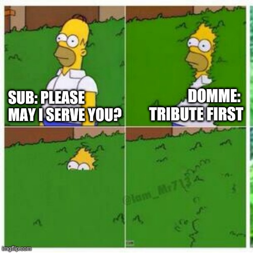 Homer hides Findom | DOMME: 
TRIBUTE FIRST; SUB: PLEASE
MAY I SERVE YOU? | image tagged in homer hides,memes | made w/ Imgflip meme maker
