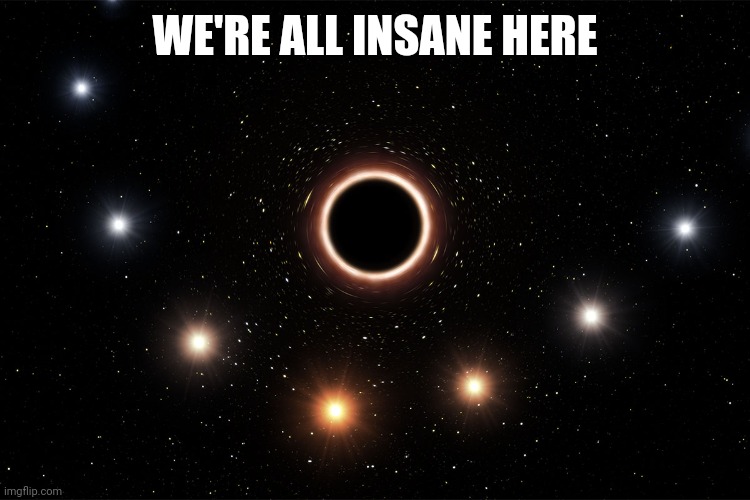 we're all stupid | WE'RE ALL INSANE HERE | image tagged in we're all stupid | made w/ Imgflip meme maker