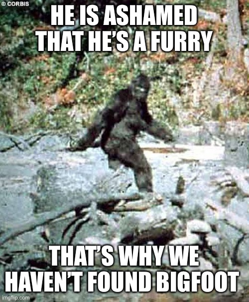 Image Title |  HE IS ASHAMED THAT HE’S A FURRY; THAT’S WHY WE HAVEN’T FOUND BIGFOOT | image tagged in bigfoot | made w/ Imgflip meme maker