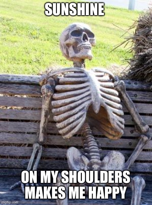 Waiting Skeleton | SUNSHINE; ON MY SHOULDERS MAKES ME HAPPY | image tagged in memes,waiting skeleton | made w/ Imgflip meme maker