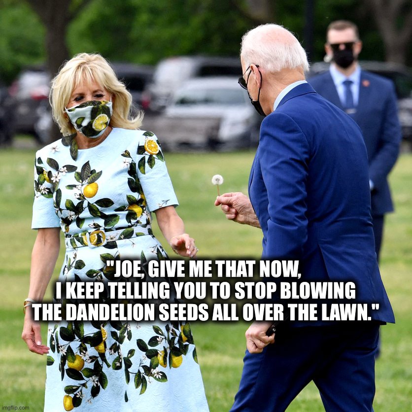 "JOE, GIVE ME THAT NOW, 
I KEEP TELLING YOU TO STOP BLOWING THE DANDELION SEEDS ALL OVER THE LAWN." | image tagged in biden,joe biden,creepy joe biden,look at me | made w/ Imgflip meme maker
