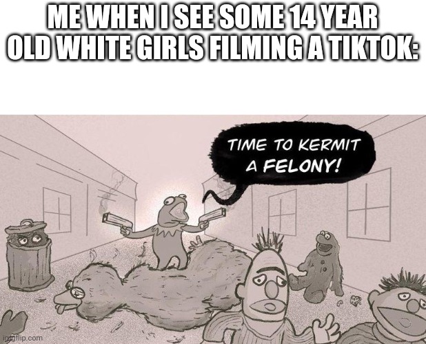 Tik tok must be eradicated | ME WHEN I SEE SOME 14 YEAR OLD WHITE GIRLS FILMING A TIKTOK: | image tagged in time to kermit a felony | made w/ Imgflip meme maker